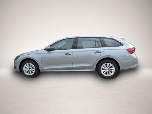 Bild Octavia Skoda