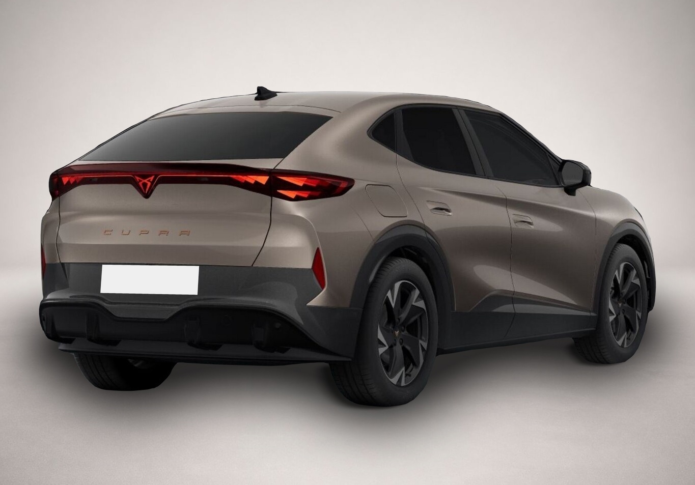 Bild 4 Cupra Tavascan 77 kWh Endurance