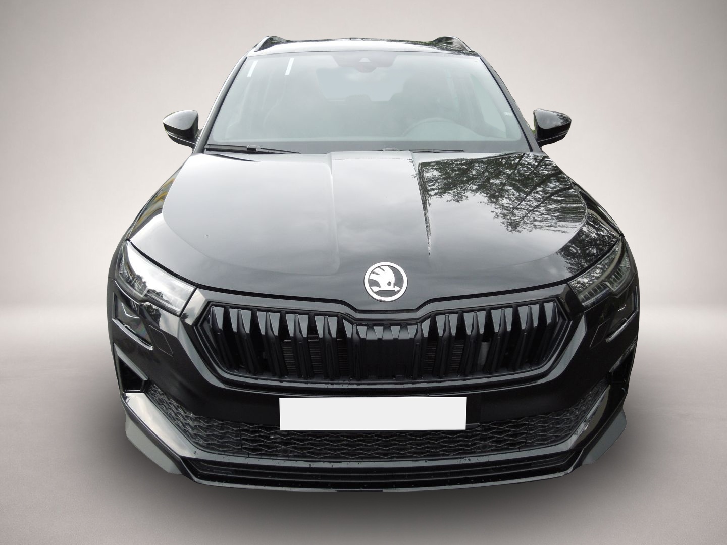 Bild 2 Skoda Karoq 2.0TSI DSG 4x4 Sportline/Matrix/AHK/Navi/K