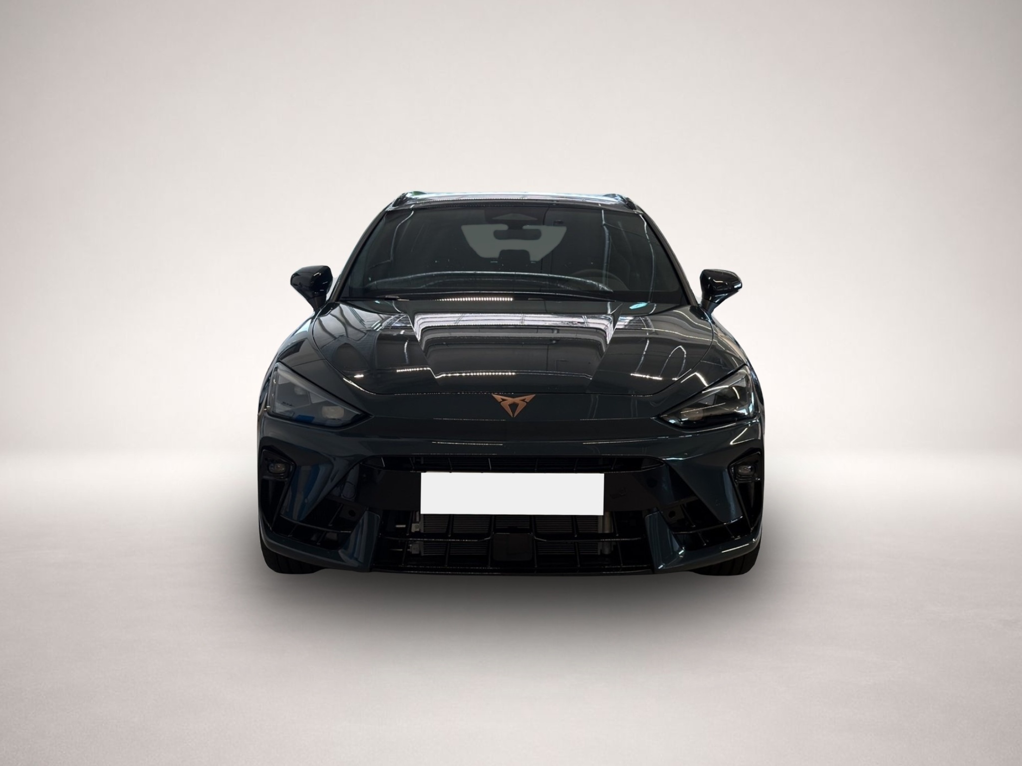 Fotografie 2 des Cupra Leon SP 2.0 TSI DSG 4Drive VZ Black Edition