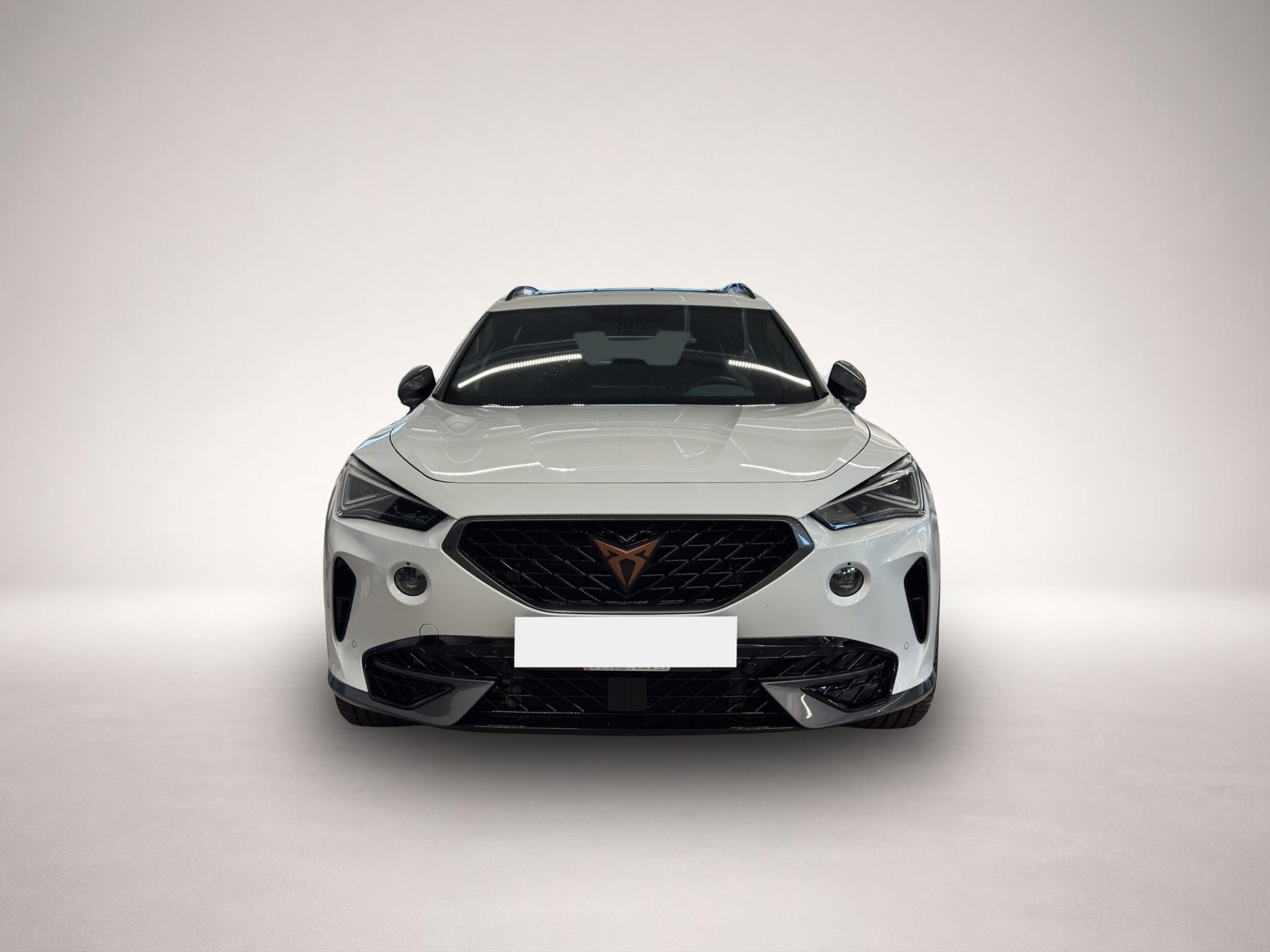 Bild 2 Cupra Formentor 2.0 TSI DSG 4Drive VZ MATRIX-LED+LEDER