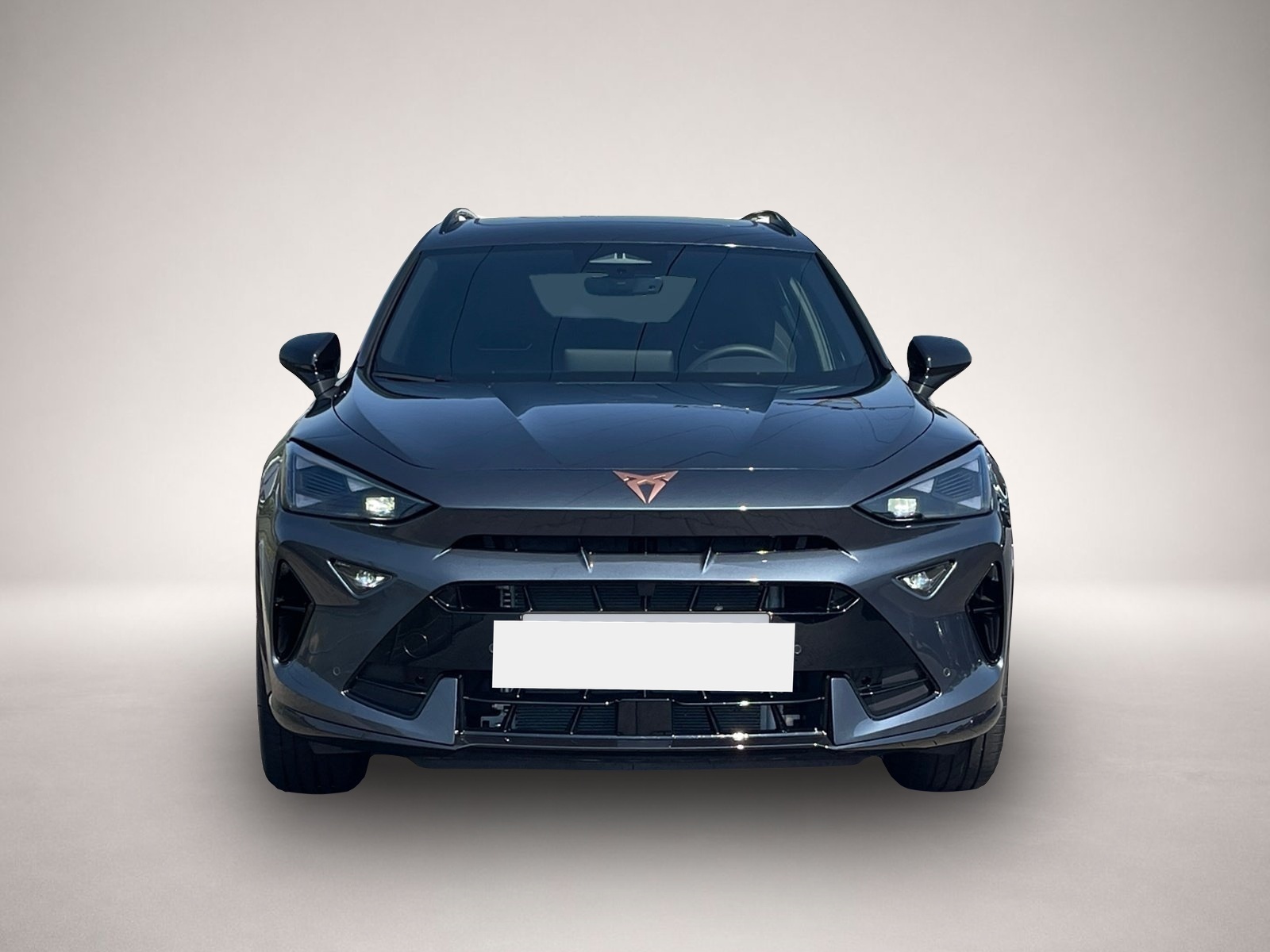 Bild 2 Cupra Formentor VZ TSI DSG|5J-GAR|AHK|PANO|el.HECK|NAV