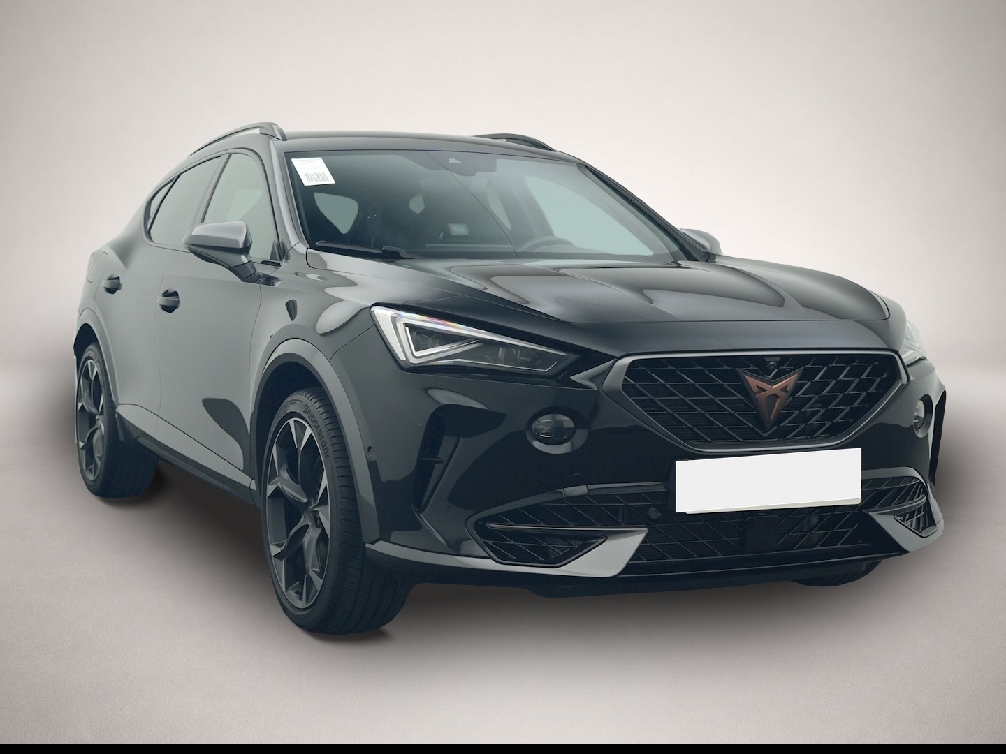 Fotografie 7 des Cupra Formentor 2.0 TSI DSG 4Dr. VZ AHK DCC 360-KAM