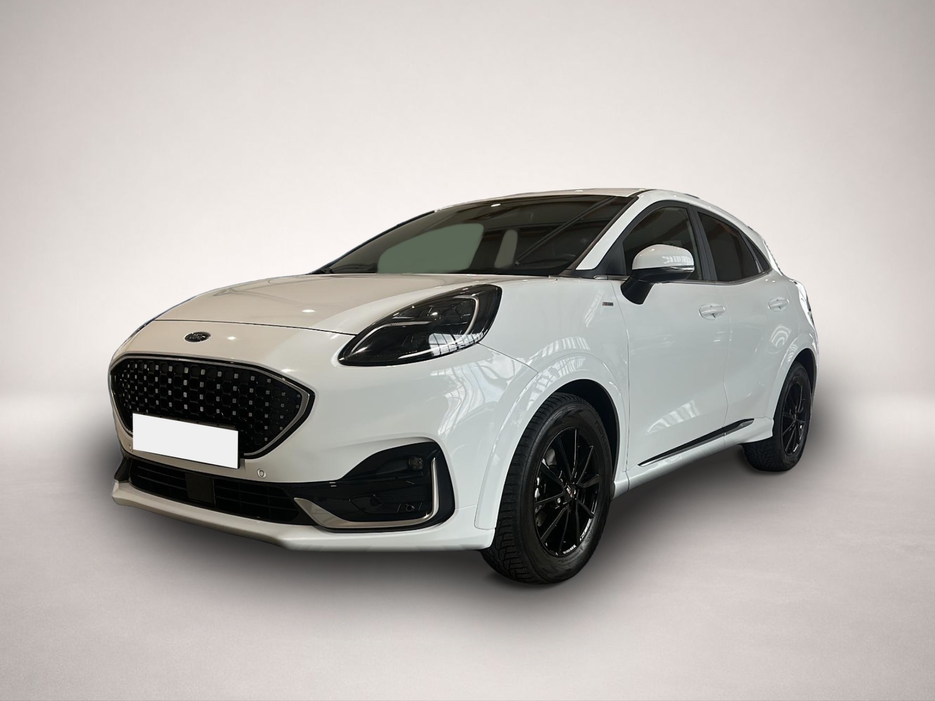 Bild Puma Ford