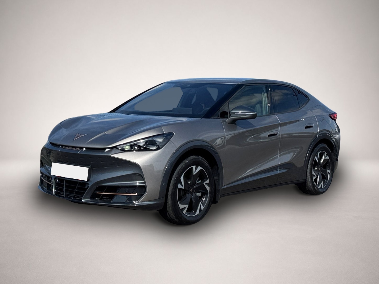 Bild Tavascan Cupra