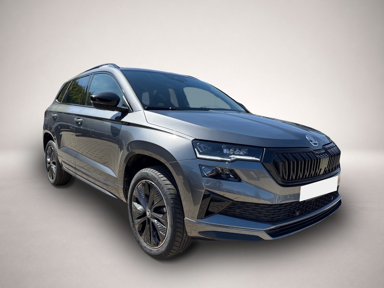 Bild 2 Skoda Karoq Sportline 1.5TSI DSG Matrix Kamera ACC