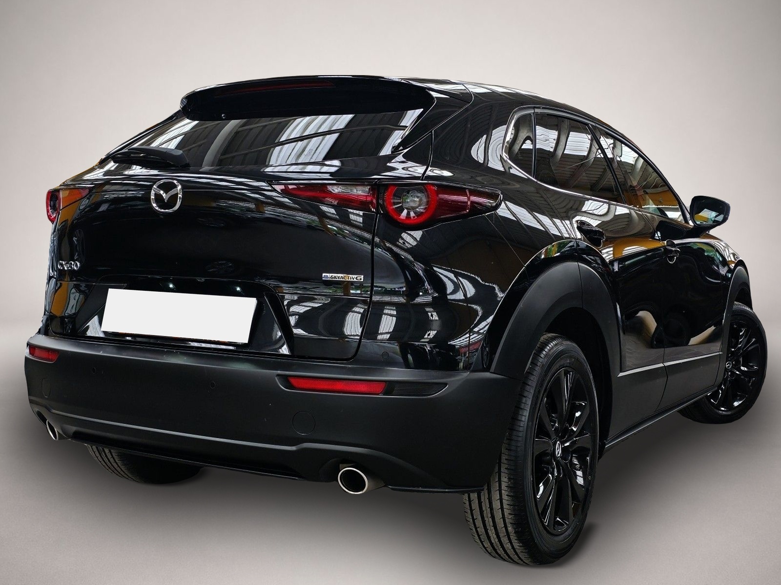 Fotografie 3 des Mazda CX-30 2,5 MHEV Nagisa Leder el.Heckk. BoseSound