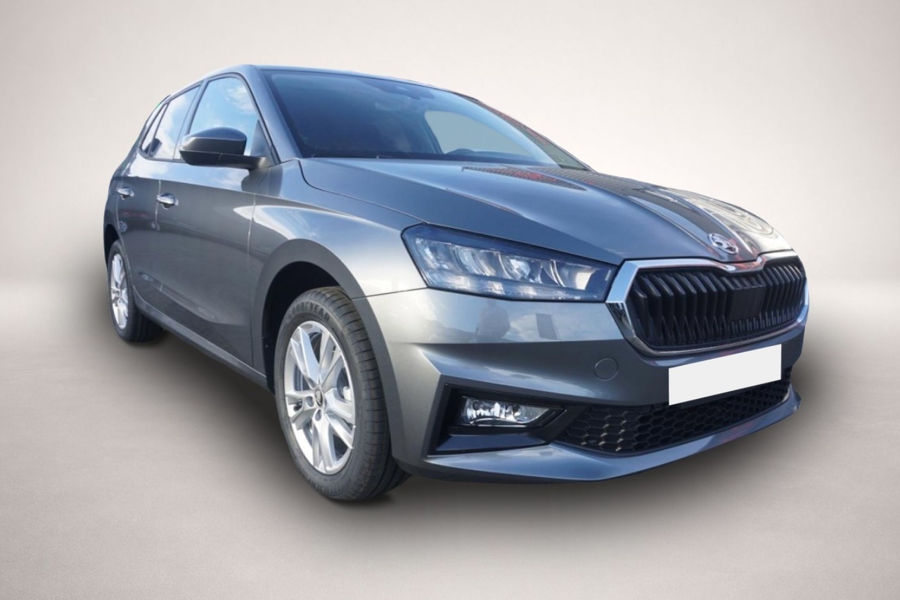 Bild 1 Skoda Fabia 1.0 MPI Neuwertig 10km Kamera Sitzheizung