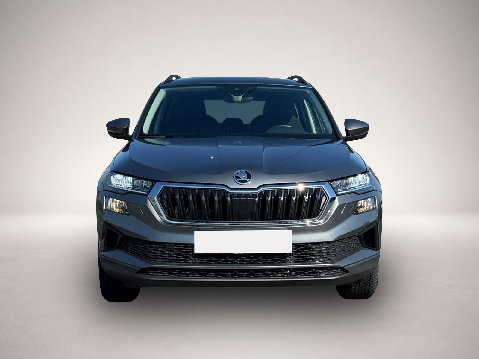 Bild 2 Skoda Other Karoq Selection 1.5 TSI DSG|SHZ|ACC|KAMERA
