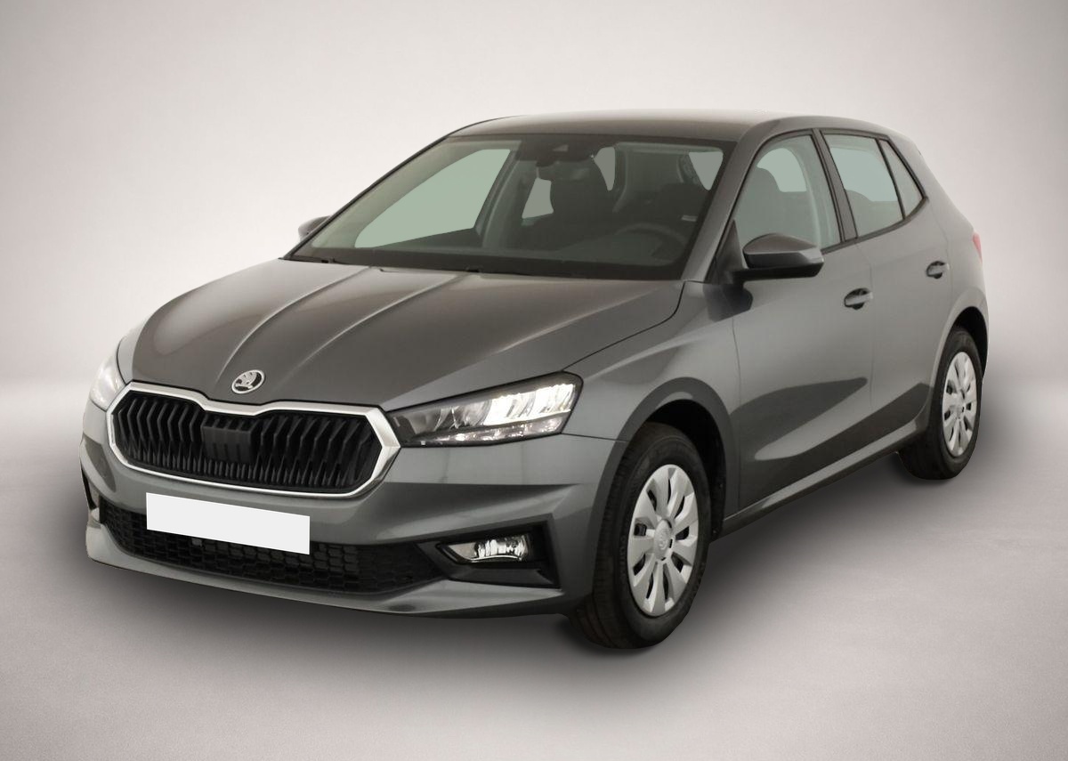 Skoda Fabia Fabia 1.0 TSI Selection, Tempomat, Park, Winterp - Bild 1
