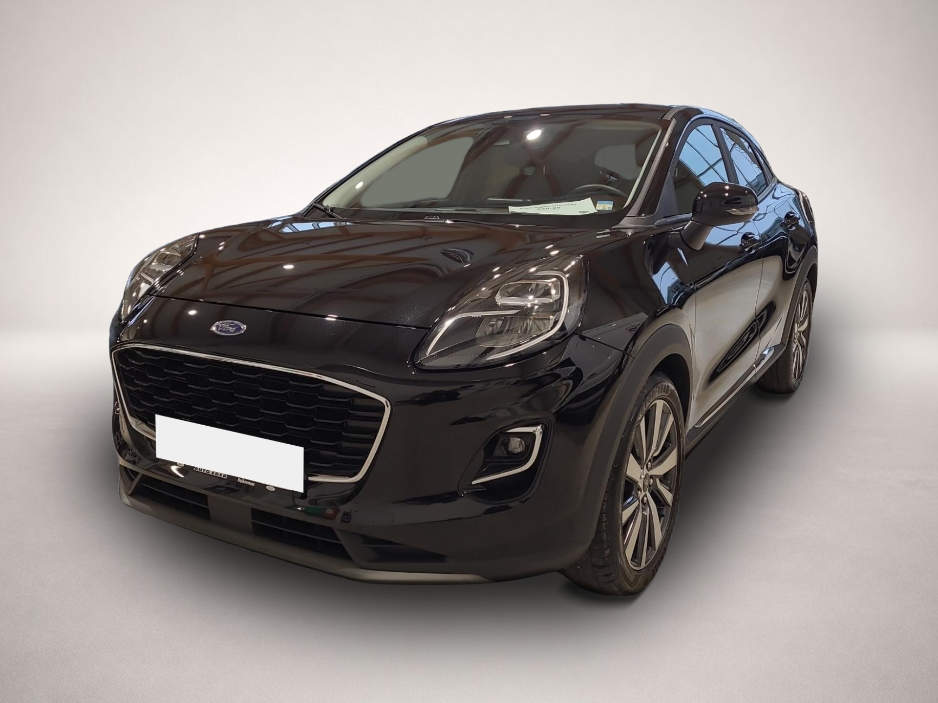 Bild Puma Ford