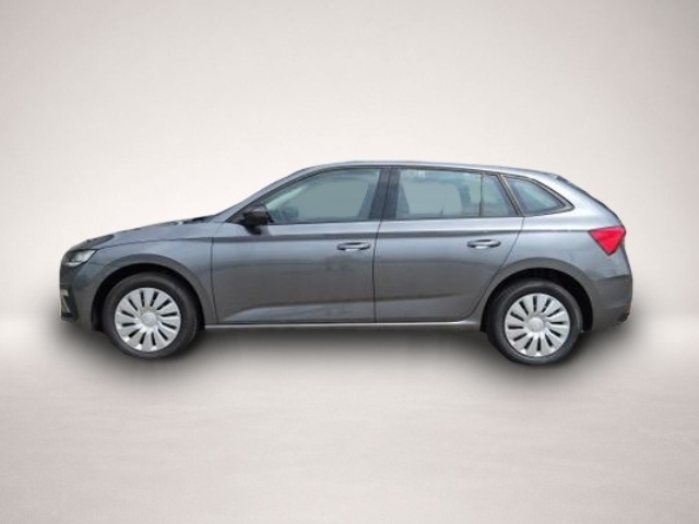 Bild Scala Skoda
