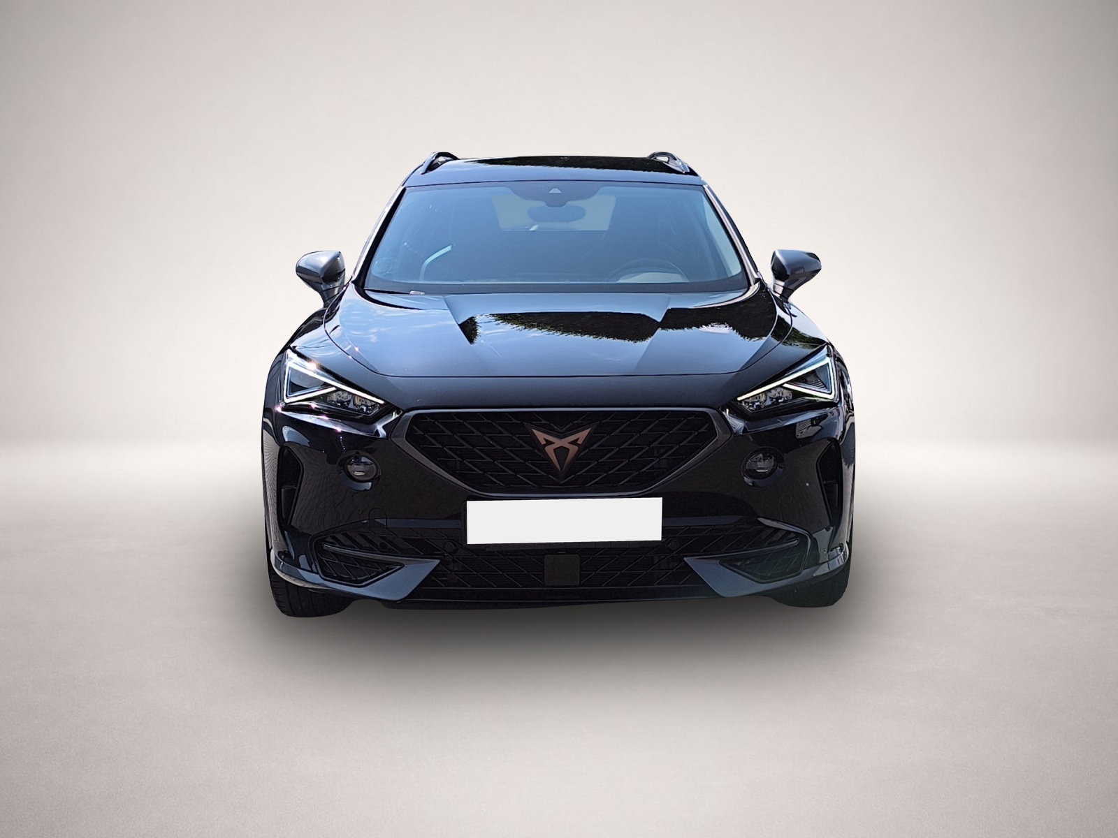 Bild 2 Cupra Formentor 1.5 TSI DSG LED FULL-LINK RFK