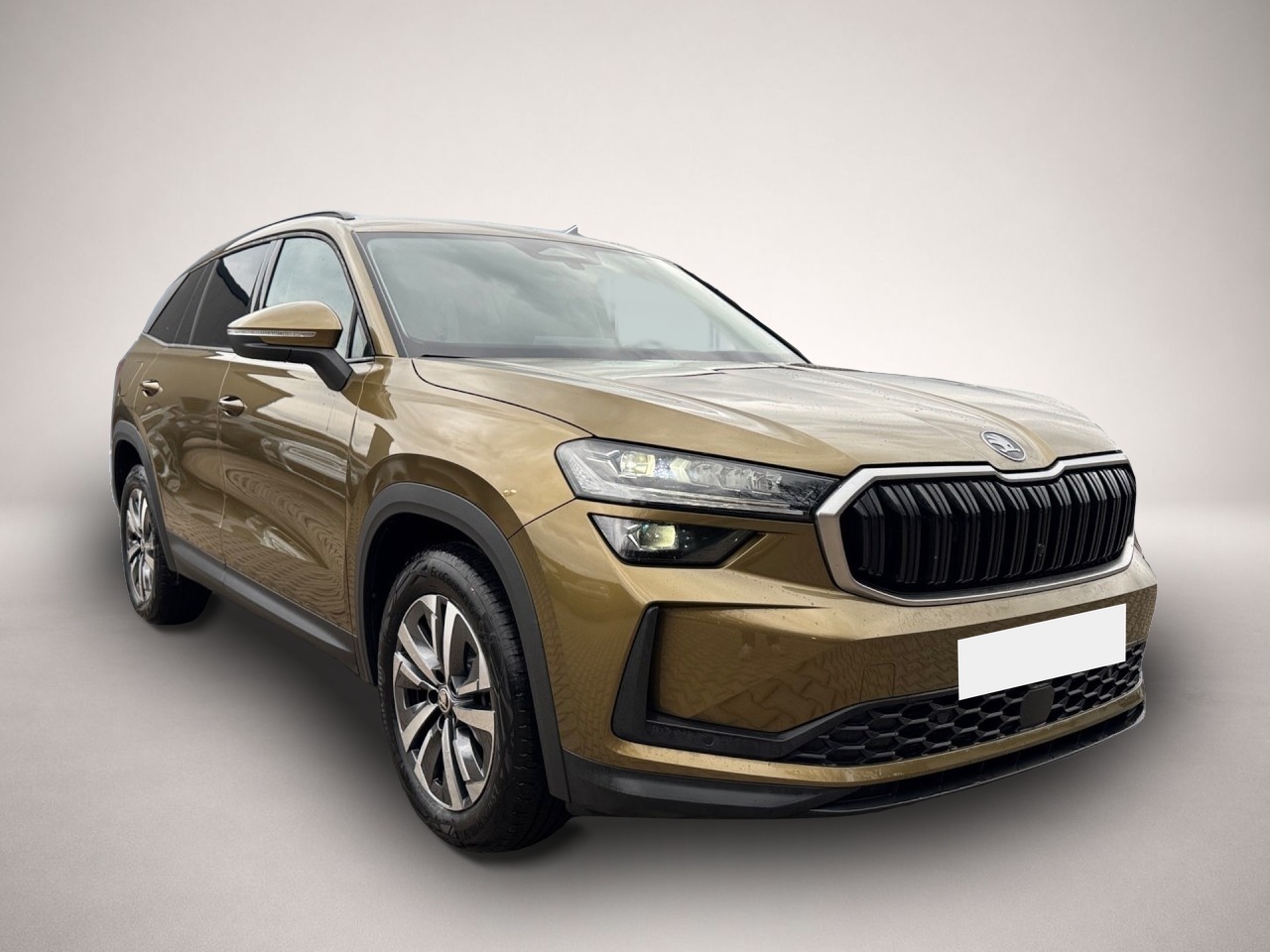 Bild 2 Skoda Kodiaq Selection TDI DSG7-SitzerMatrixPlusACCNav