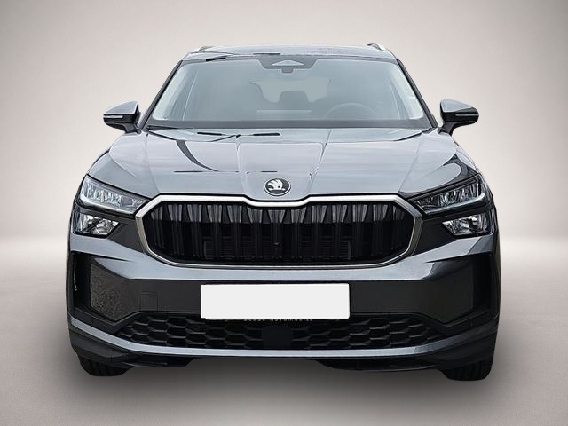 Bild Kodiaq Skoda