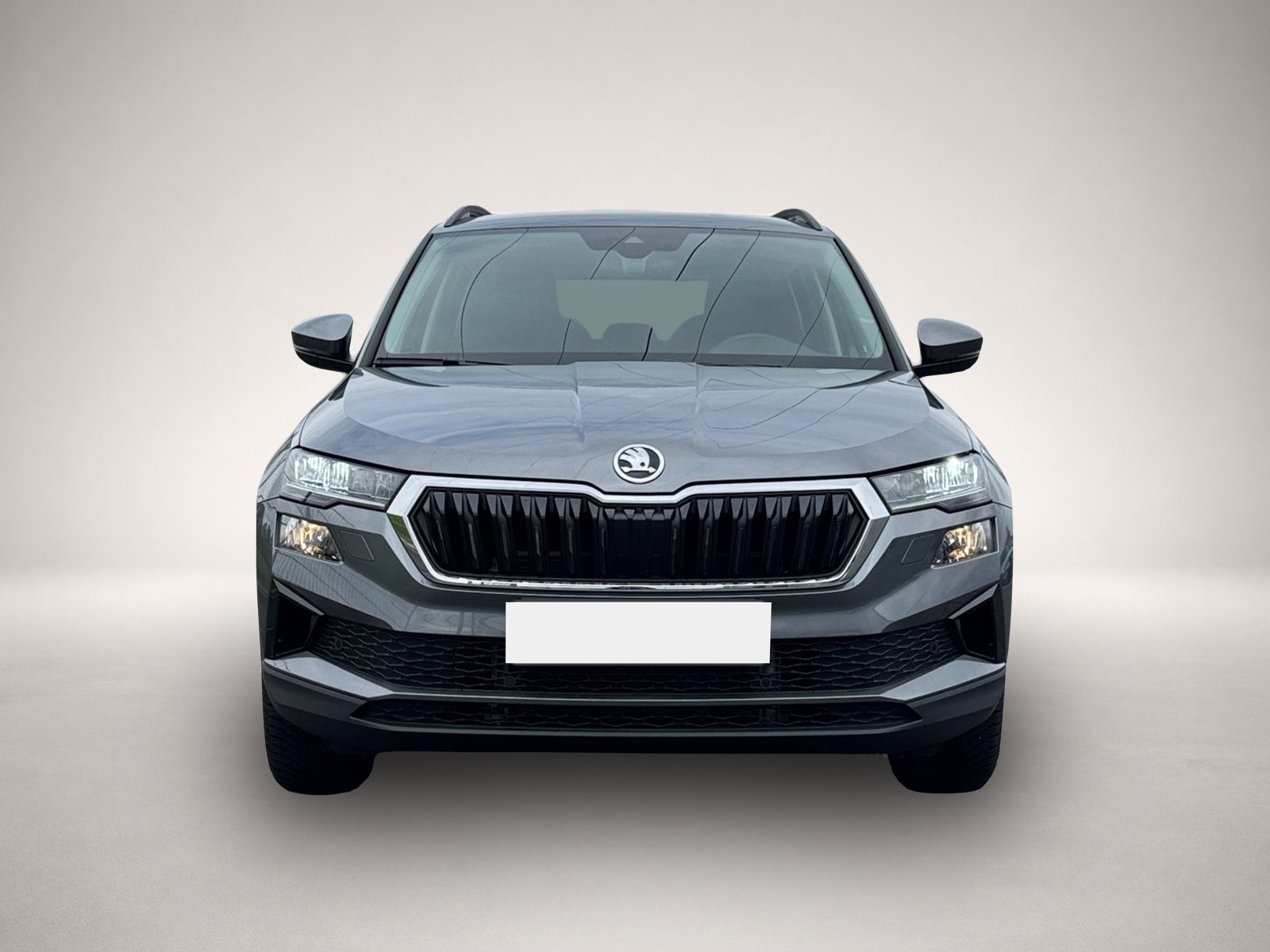 Fotografie des Skoda Karoq Selection TSI DSG|NAVI|KAMERA|VORB.AHK|SHZ