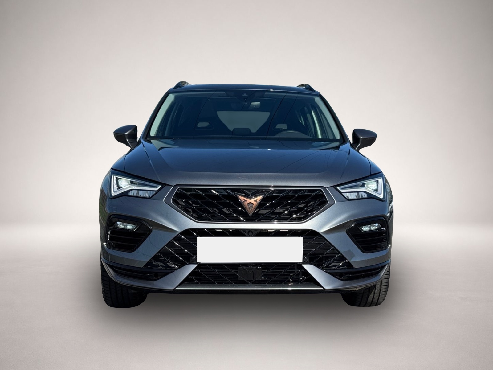 Bild 2 Cupra Ateca 4Drive TSI DSG|AHK|PANO|el.HECK|WINTER-PKT