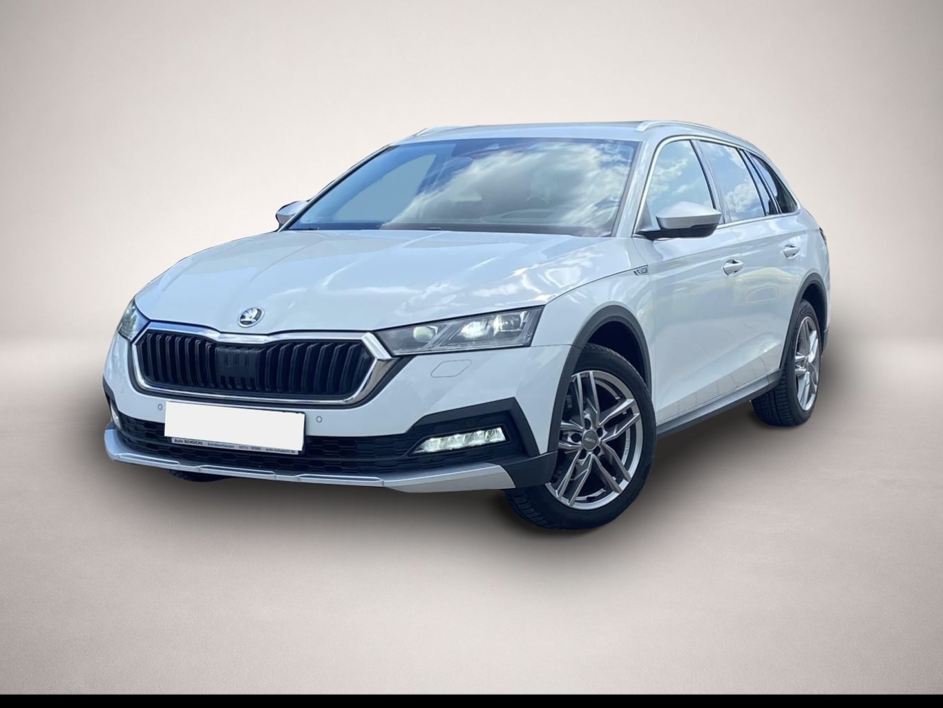 Bild Octavia Skoda