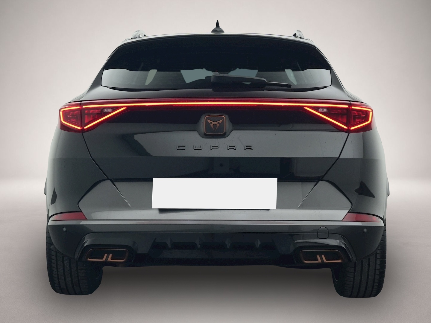 Bild 4 Cupra Formentor 1.4 TSI e-Hybrid DSG VZ TOP VIEW PANO