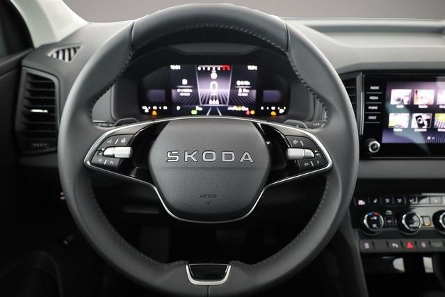 Bild 4 Skoda Karoq Selection 4x4 Karoq 2.0 TDI DSG 4x4 Selection, .