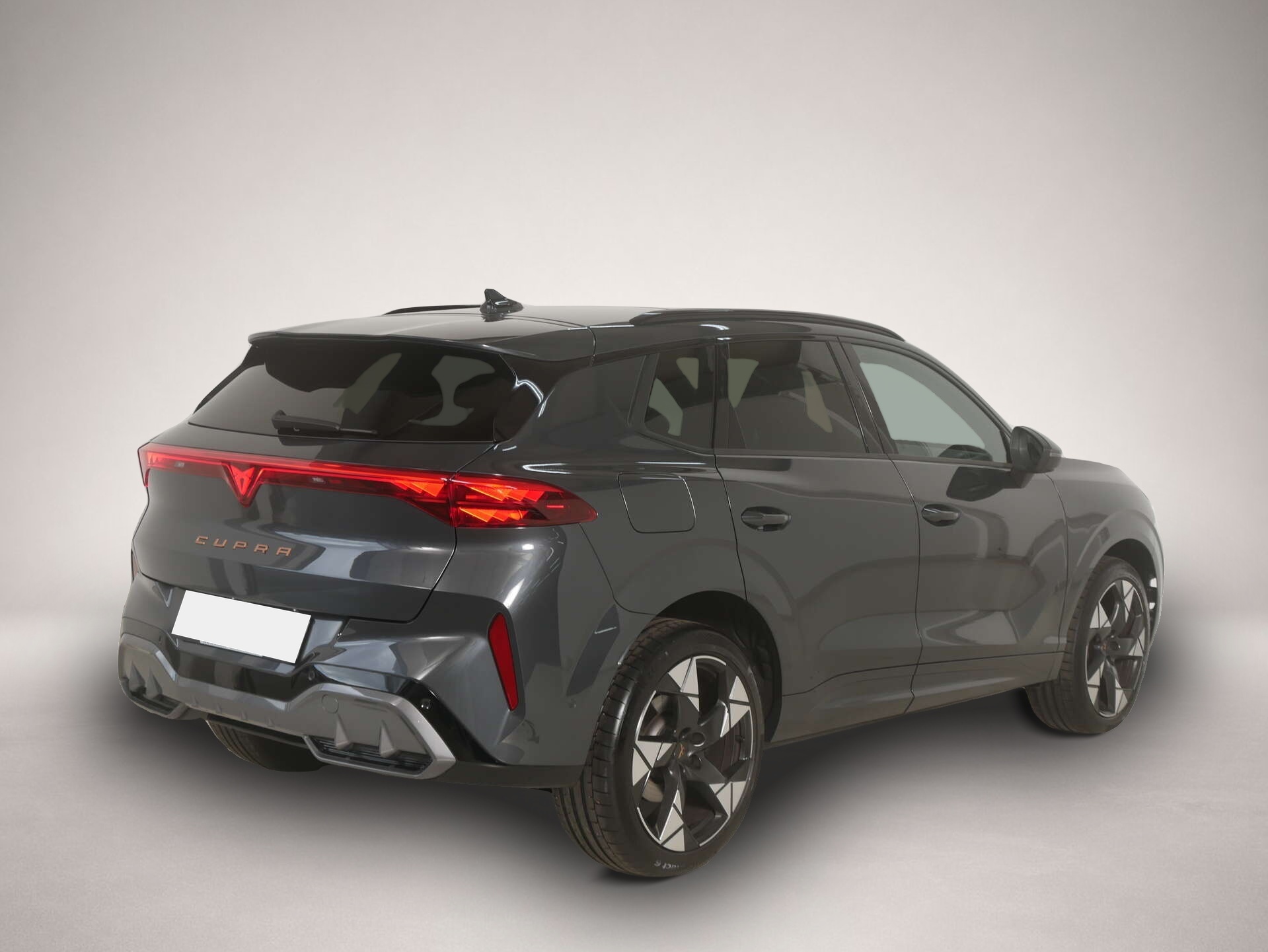 Bild 5 Cupra Terramar 2.0 TSI
