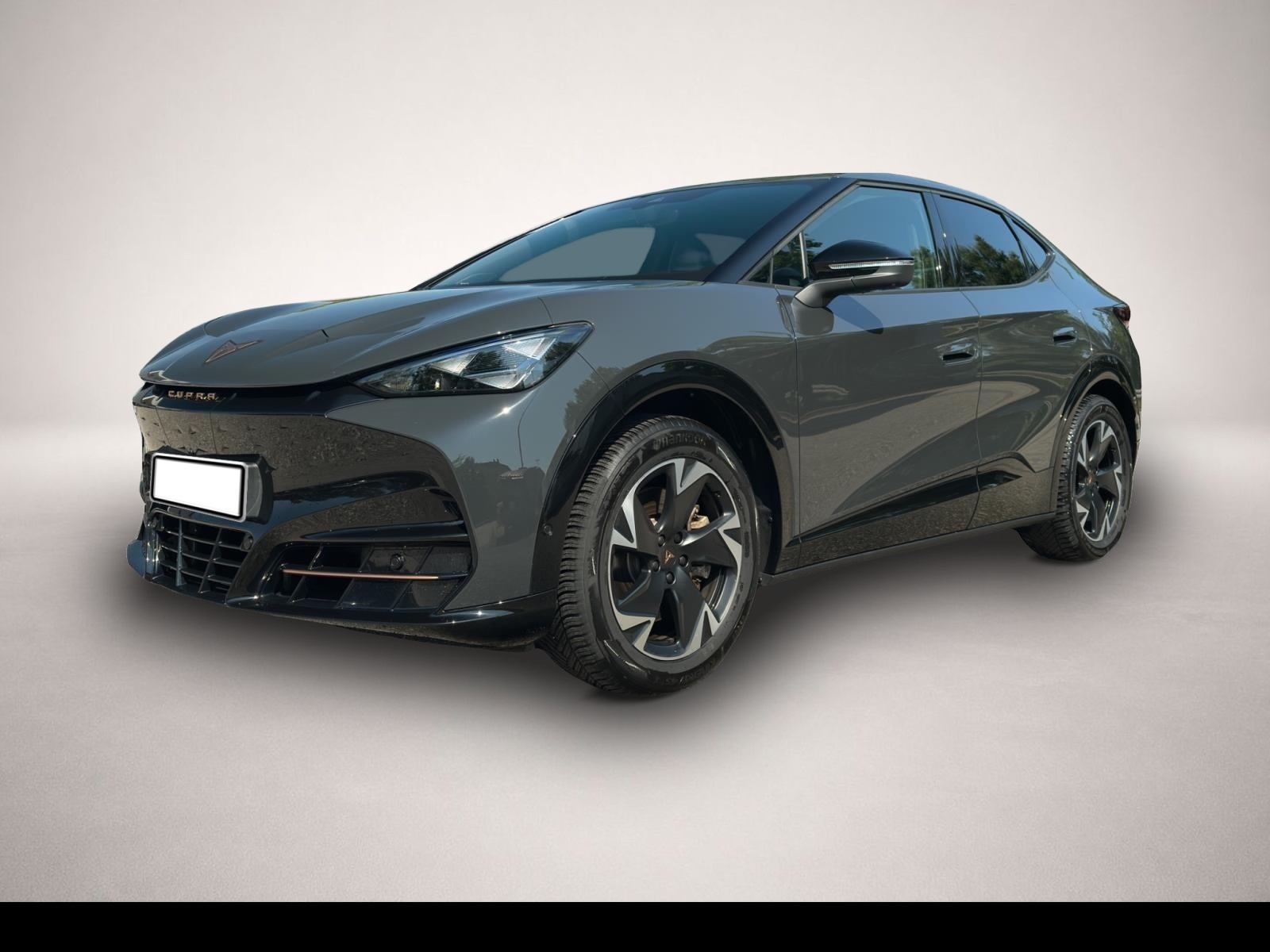 Bild Tavascan Cupra