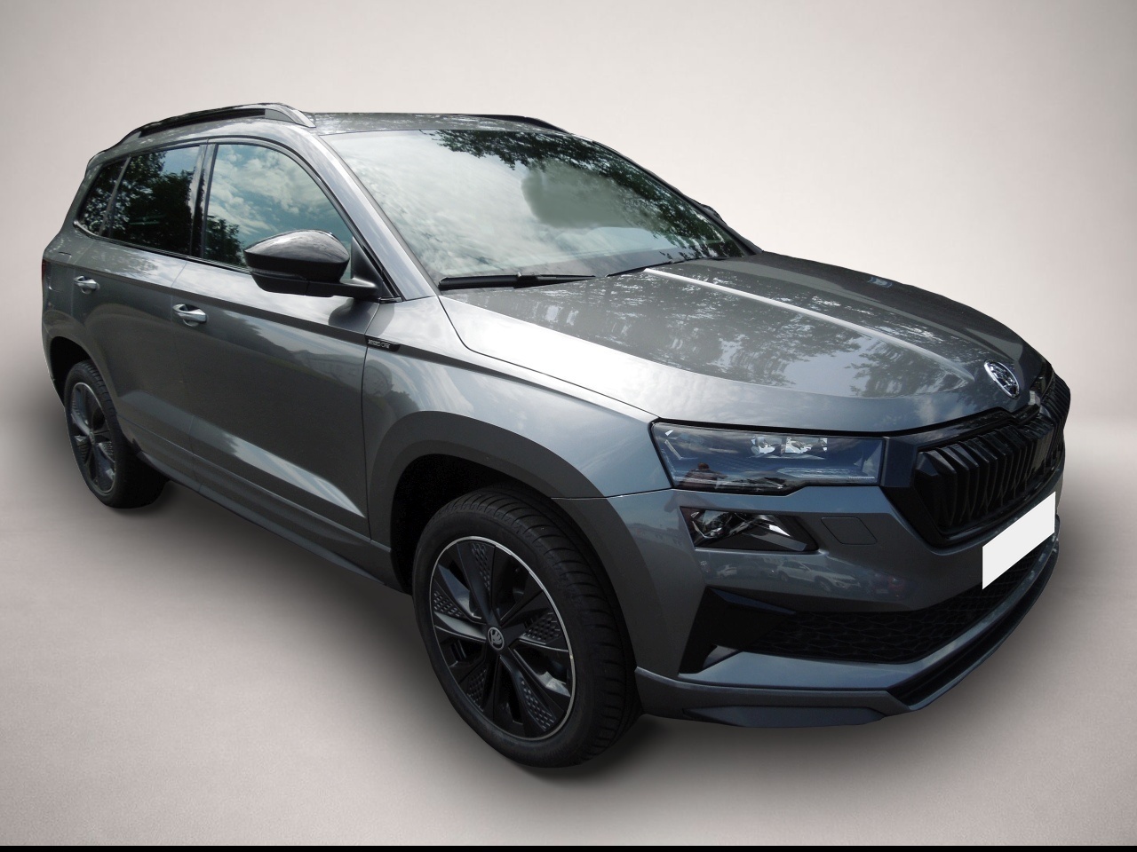 Fotografie 1 des Skoda Karoq 1.5 TSI Sportline/Matrix/AHK/Navi/Kamera