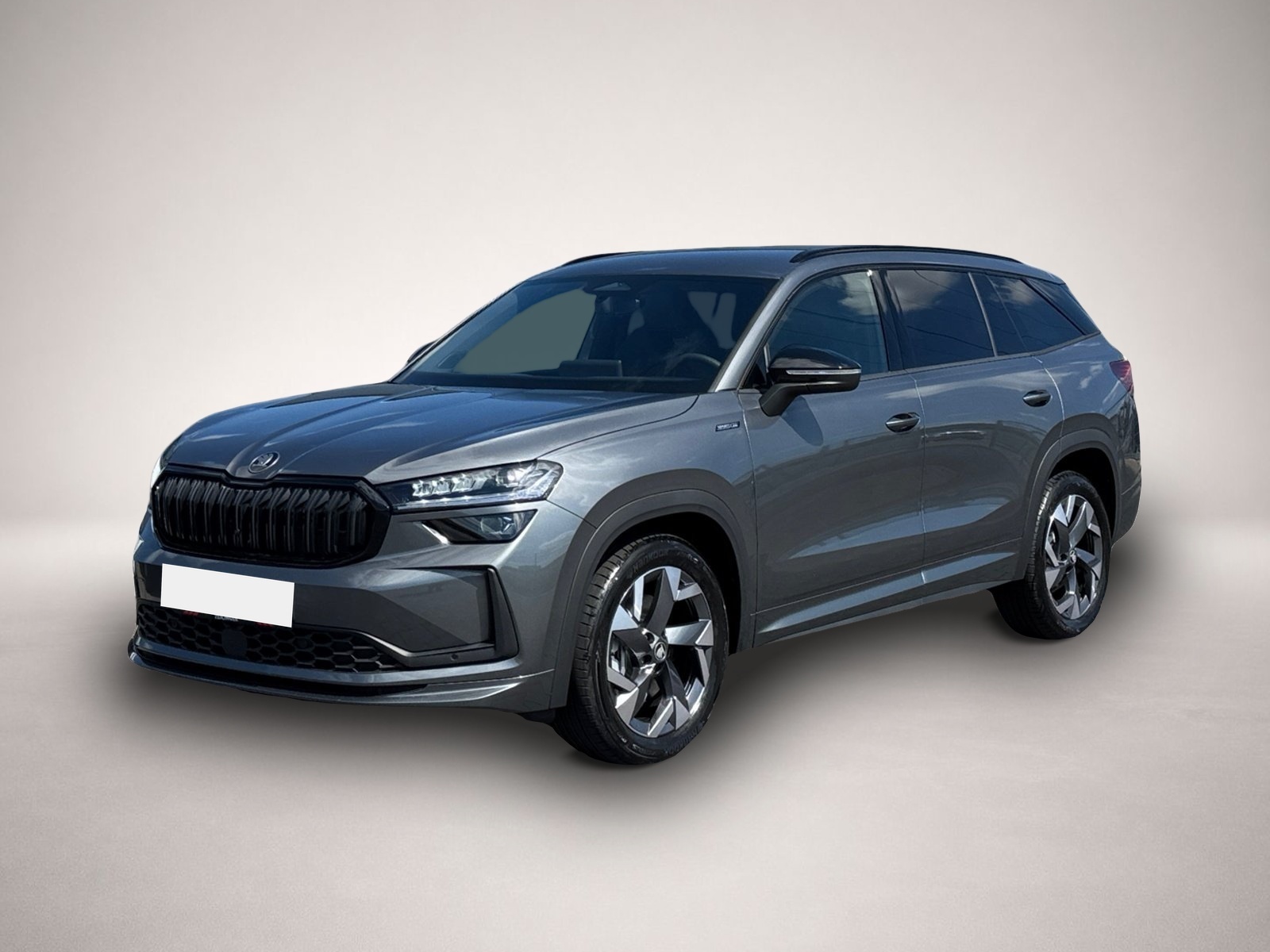 Bild Kodiaq Skoda