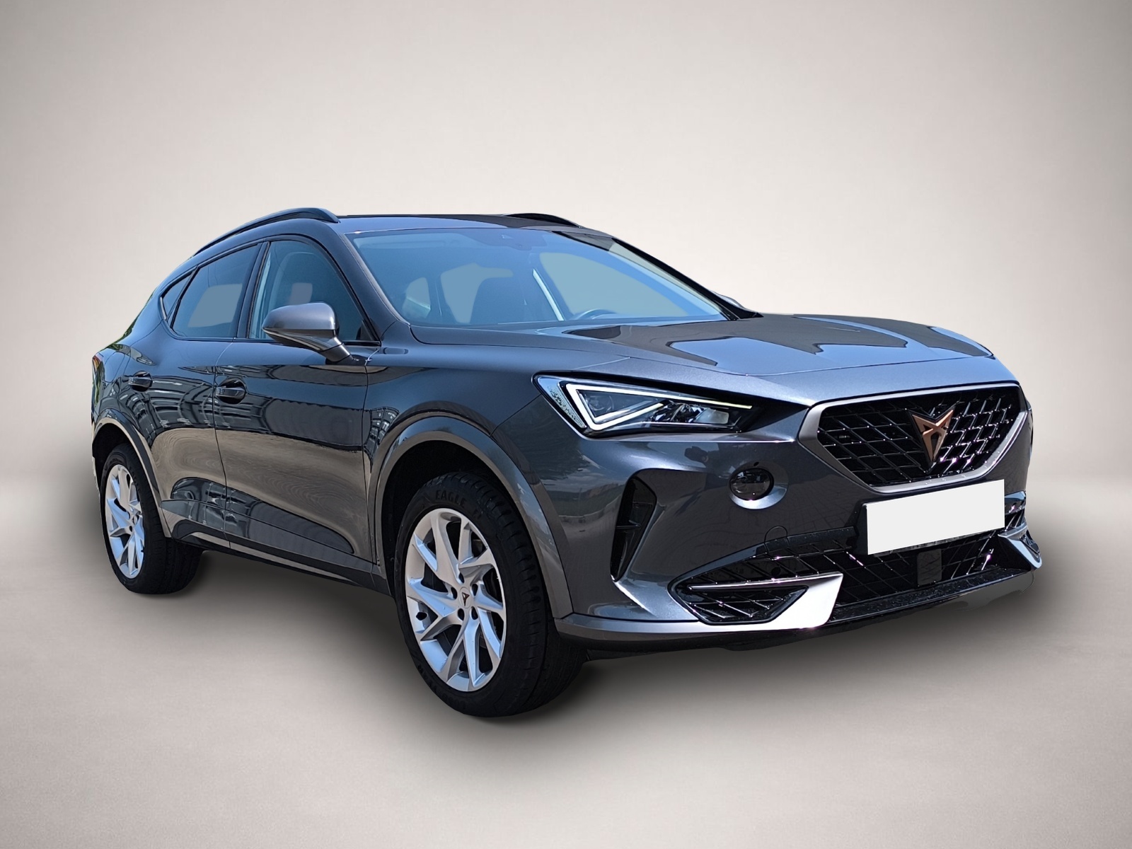 Bild 2 Cupra Formentor 1.5 TSI NAVI DAB SHZ ACC PDC LED ab 29