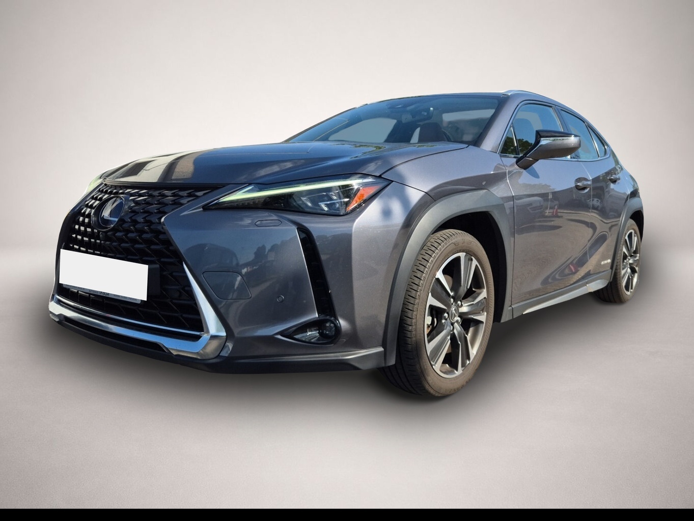 Fotografie Lexus UX 250h Luxury Line Matrix LED Pano Memory Kam