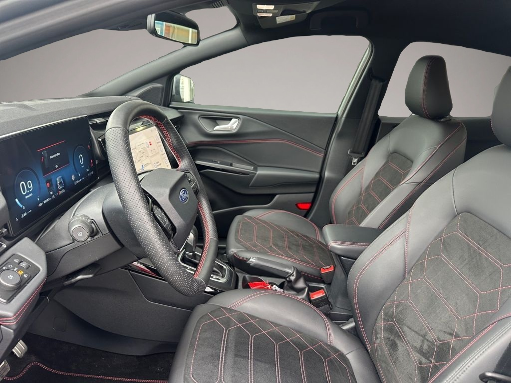 Bild Puma Ford
