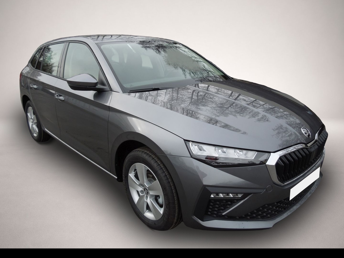 Bild Scala Skoda