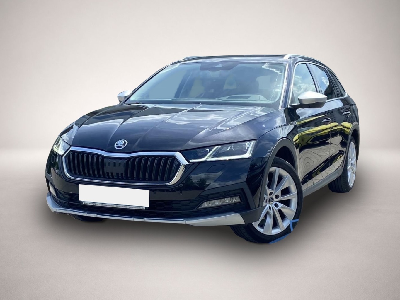 Bild Octavia Skoda