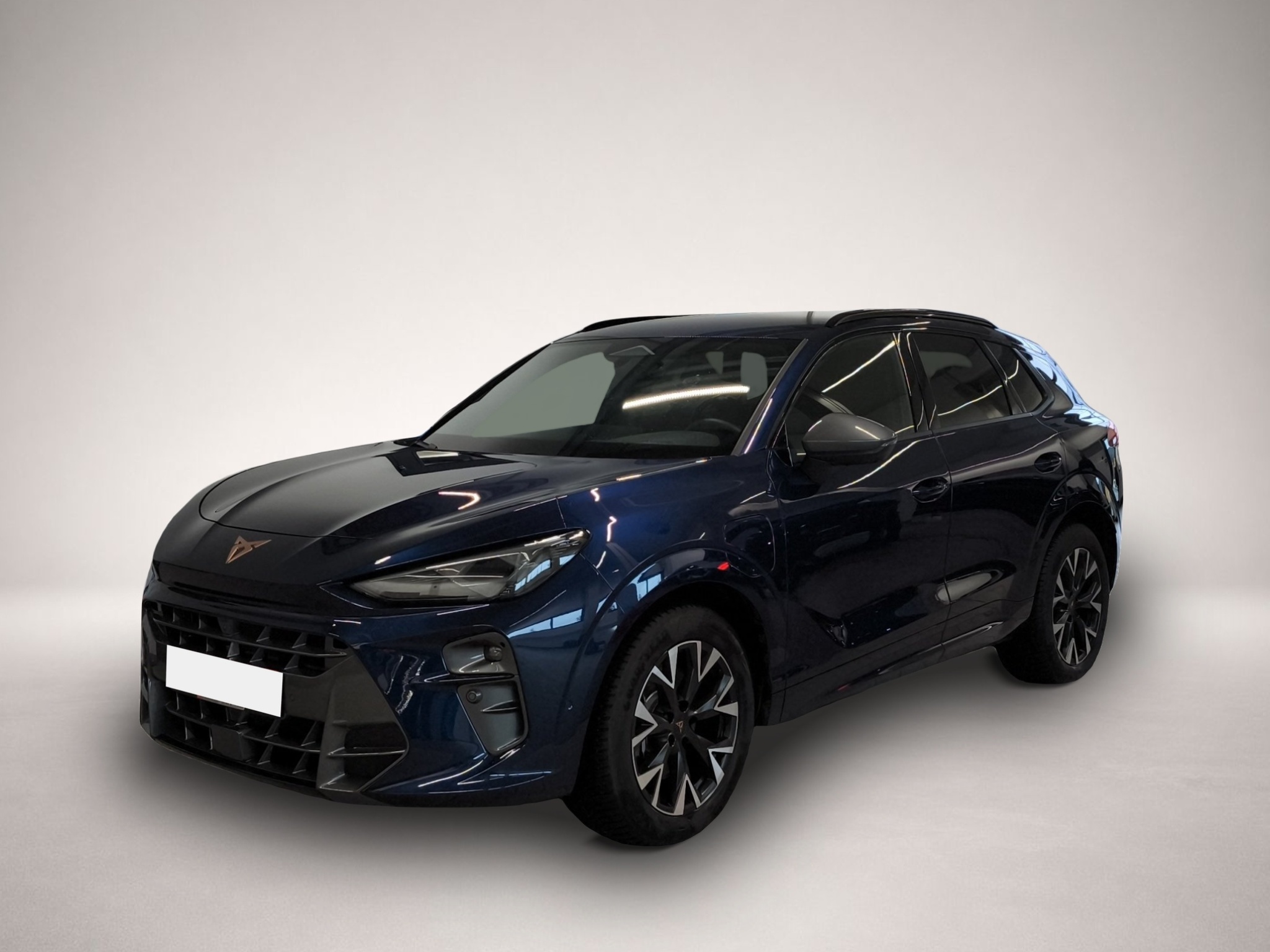 Bild Terramar Cupra