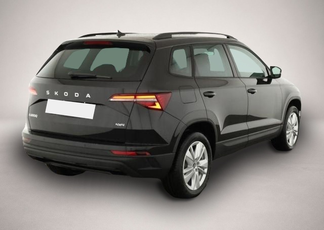 Bild 1 Skoda Karoq Selection 4x4 Karoq 2.0 TDI DSG 4x4 Selection, .