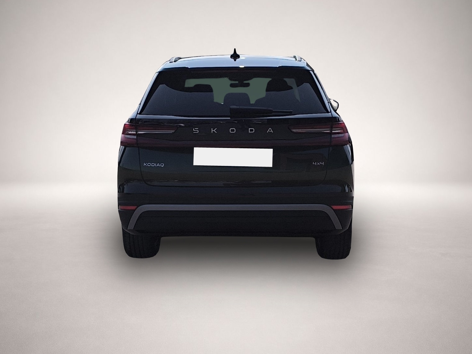 Bild 6 Skoda Kodiaq 2.0 TDI DSG Selection AHK NAV RFK MATRIX