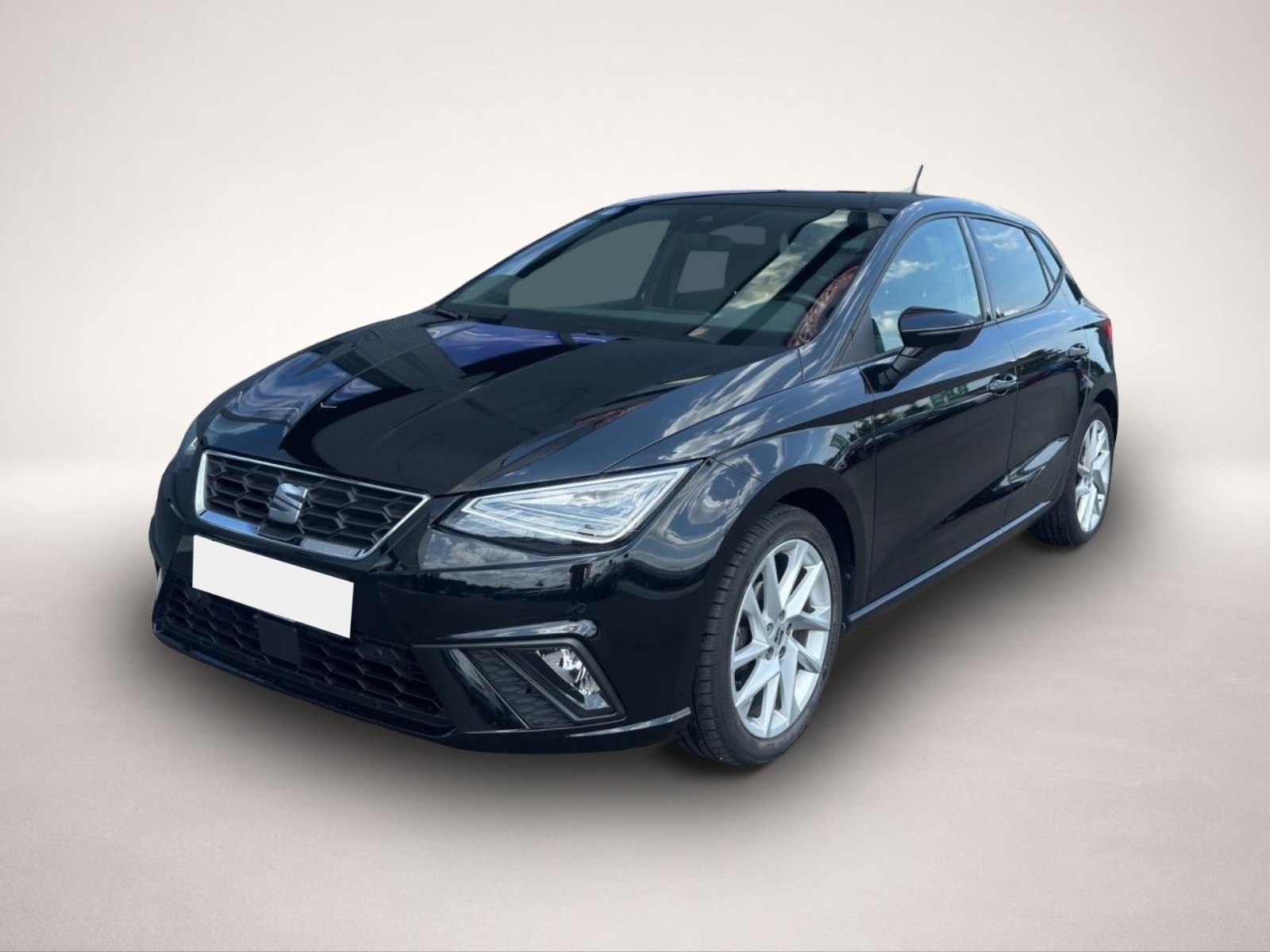 Ibiza Seat
