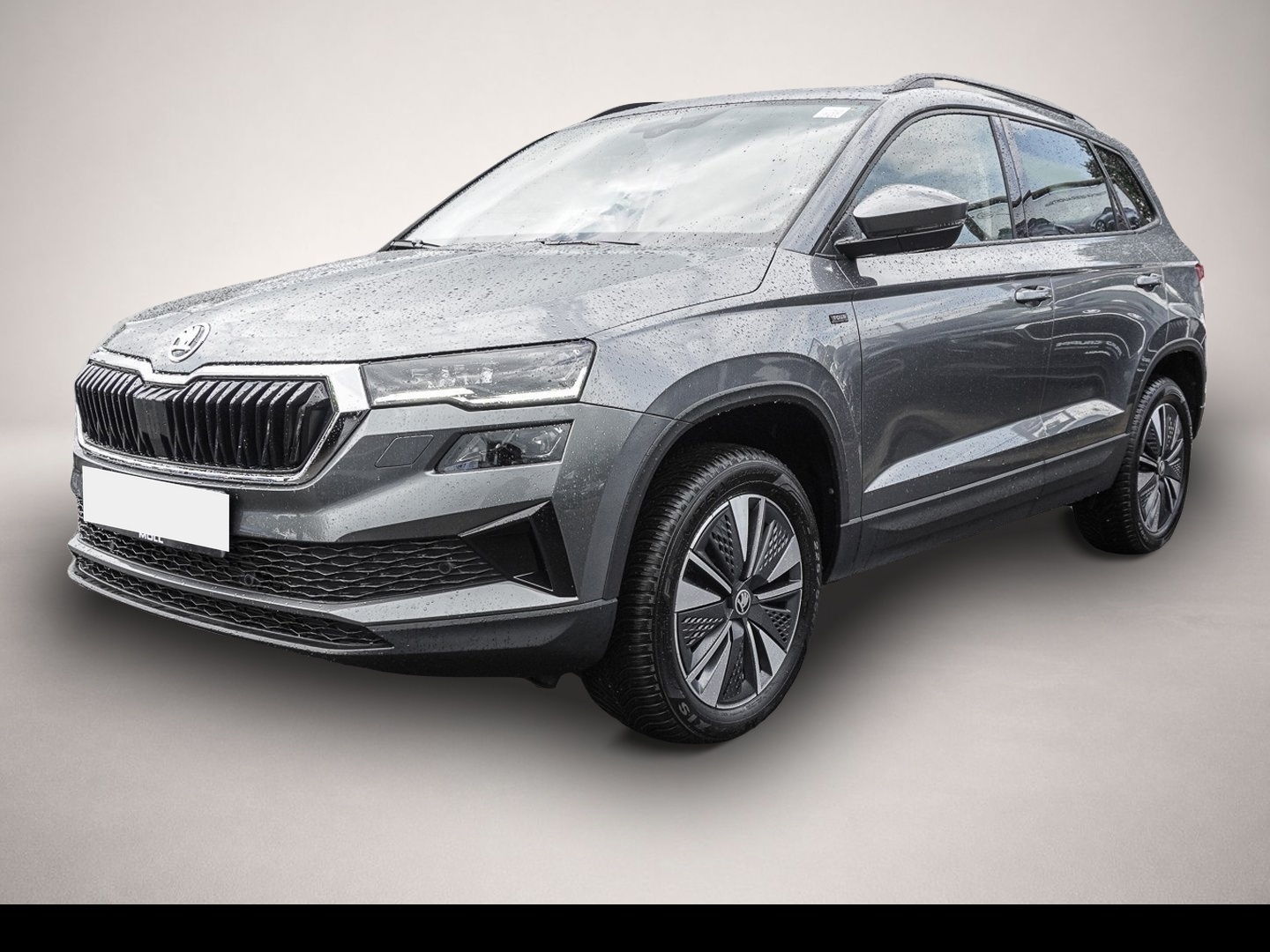 Fotografie Skoda Karoq 2.0 TDI DSG SelectionTour
