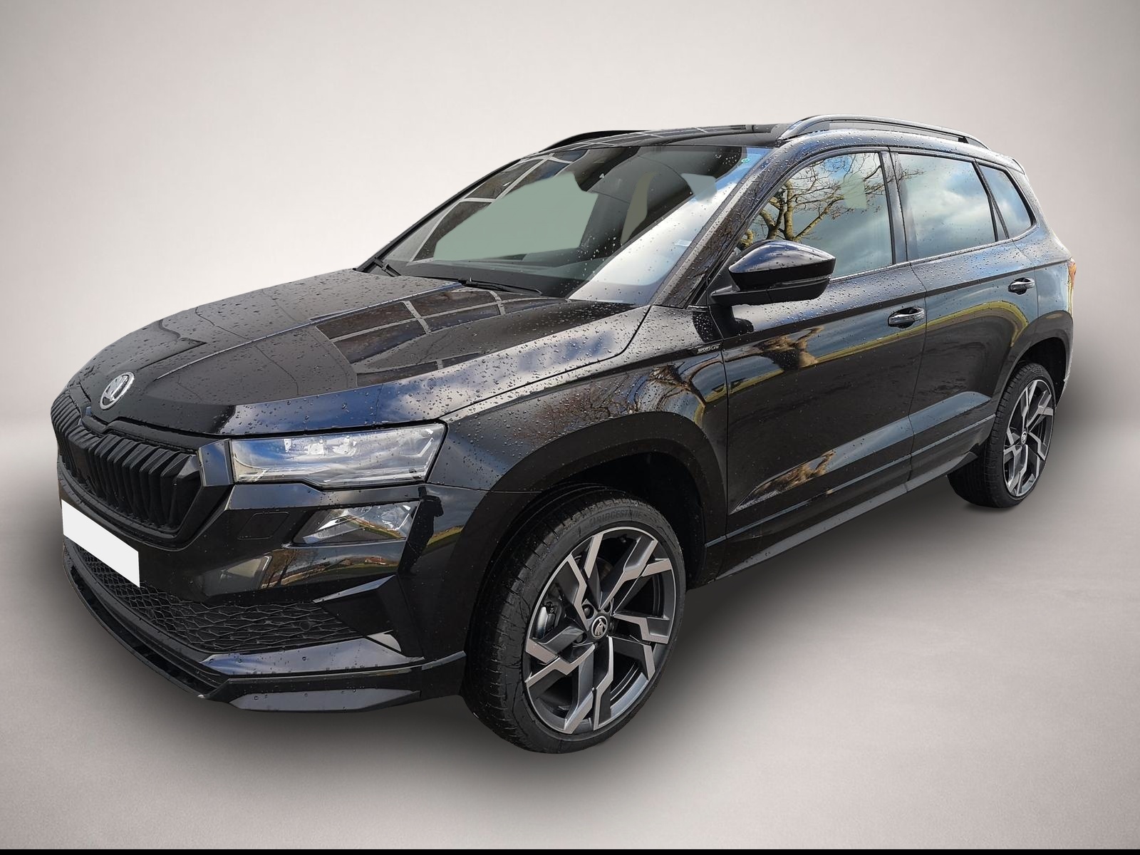 Fotografie Skoda Karoq 2.0TDI Sportline DSG 4x4 AHK Matrix Pano S
