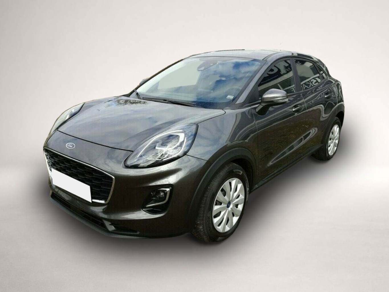 Bild Puma Ford