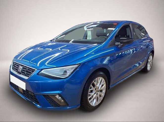 Ibiza Seat