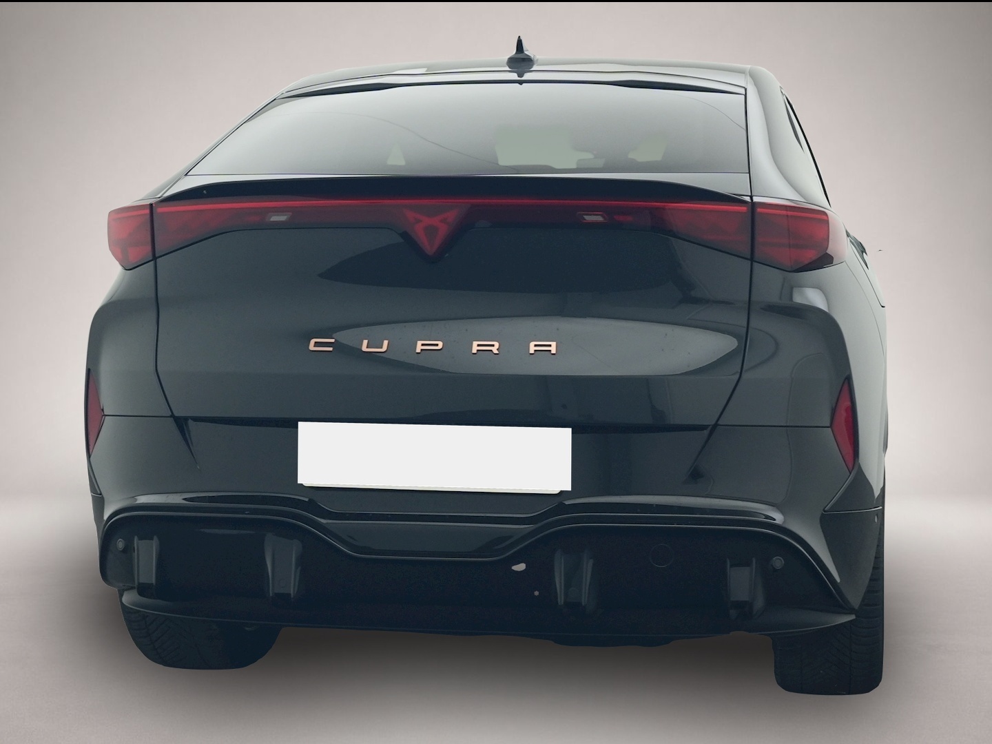 Bild 2 Cupra Tavascan Endurance RFK WÄPU eHECK NAVI