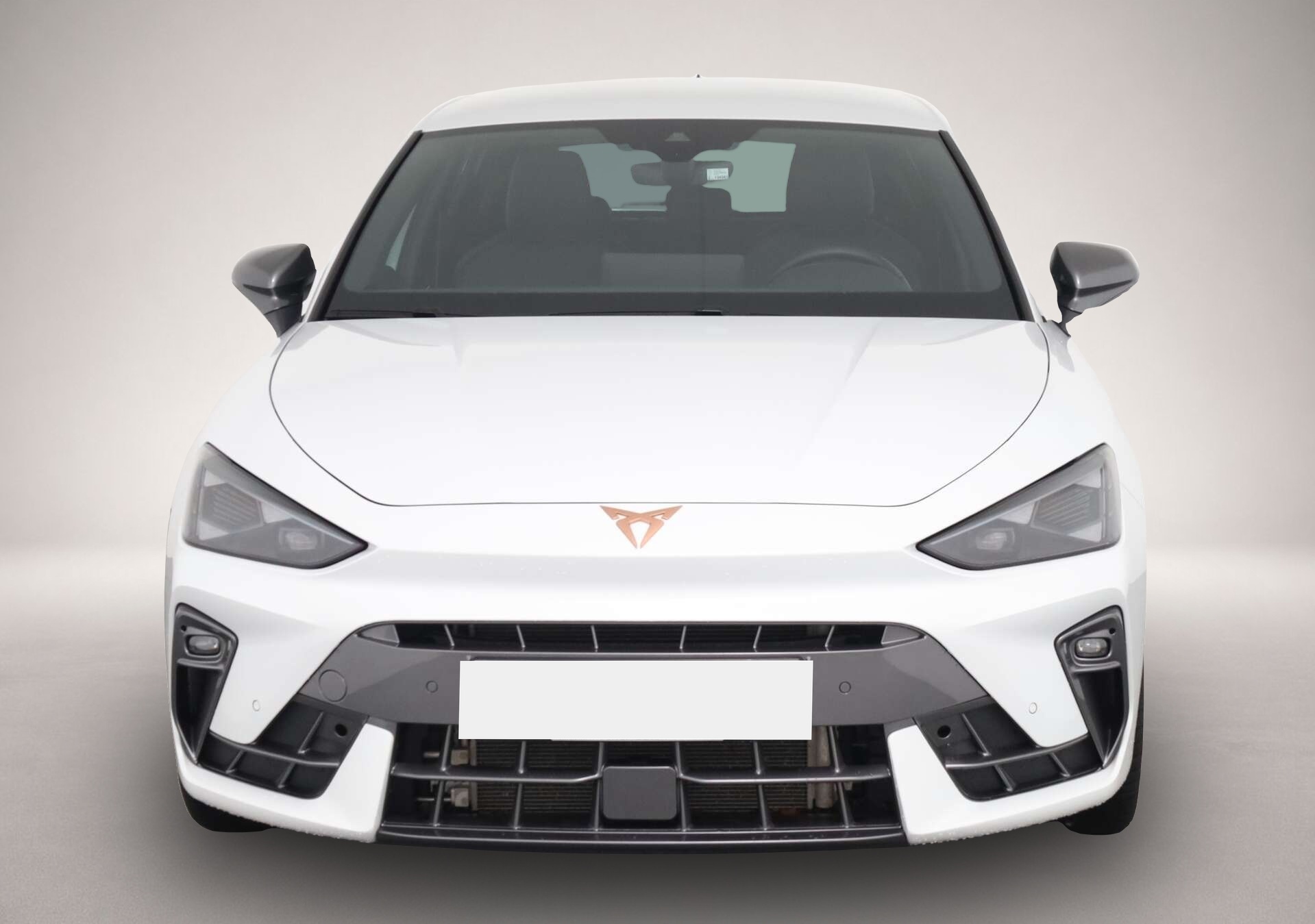 Bild 2 Cupra Leon 2.0 TDI