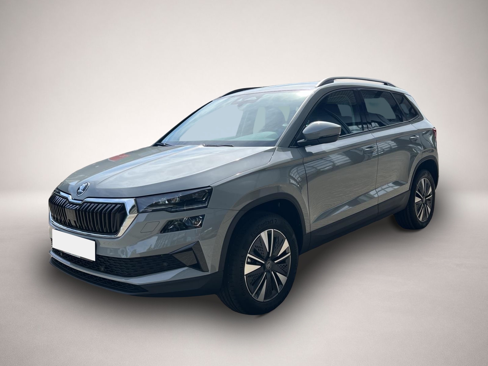 Bild Karoq Skoda