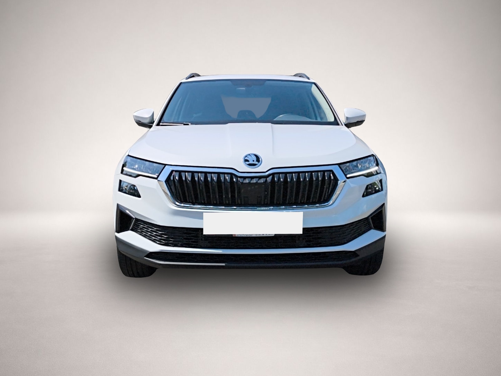 Bild Karoq Skoda