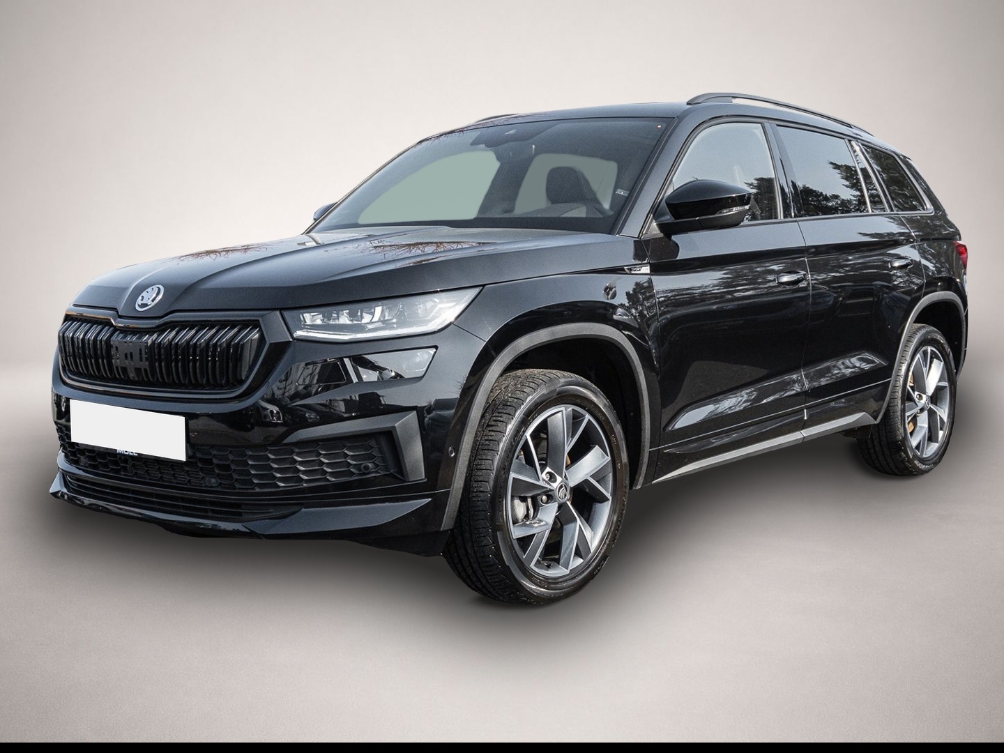 Bild Kodiaq Skoda