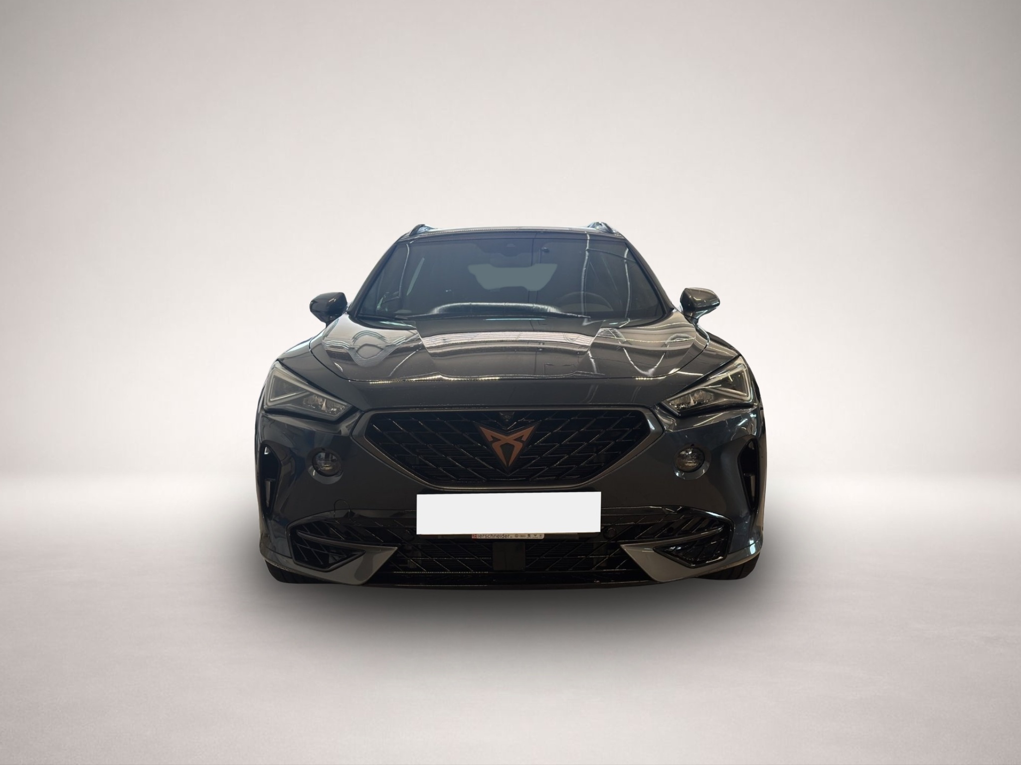Bild 2 Cupra Formentor 2.0 TSI DSG 4Drive VZ LED NAVI ACC SID