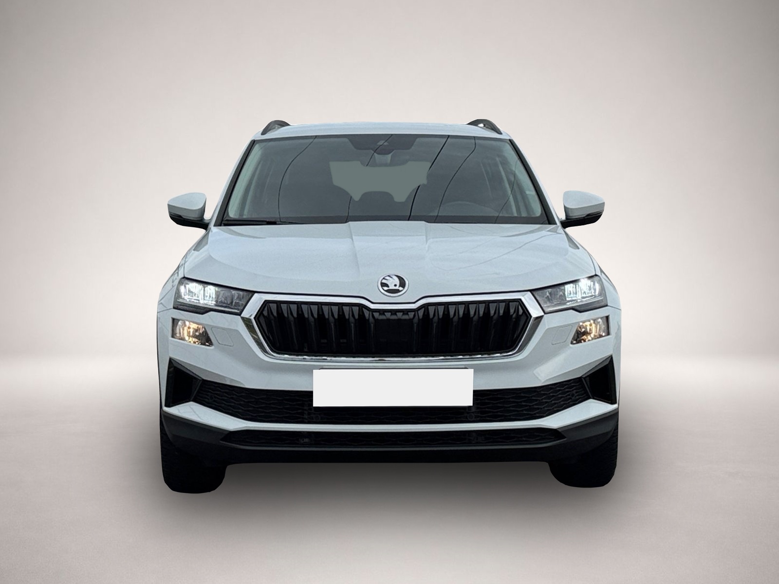Bild 2 Skoda Karoq Selection TSI DSG|KAMERA|NAVI|WINTER-P