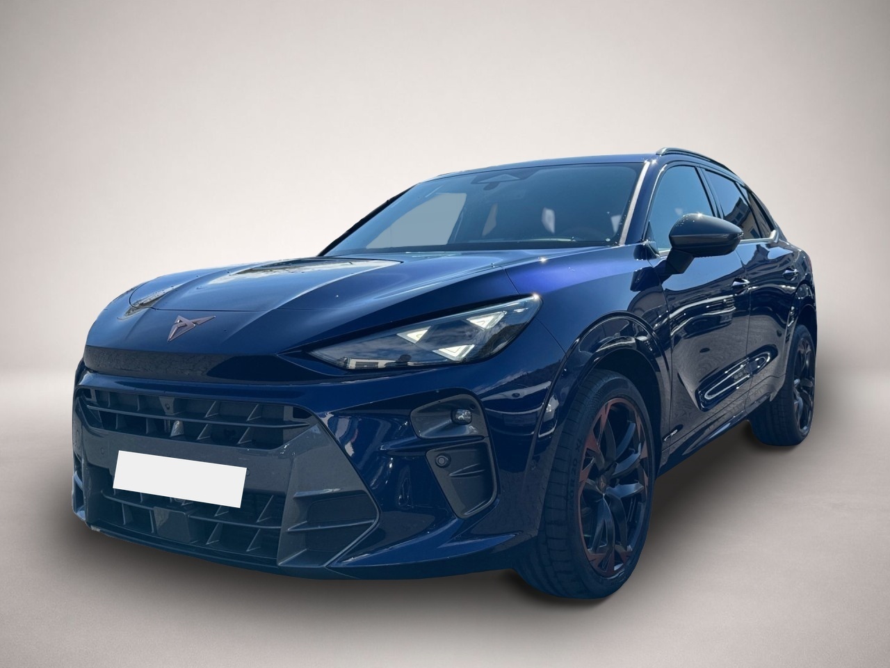 Bild Terramar Cupra