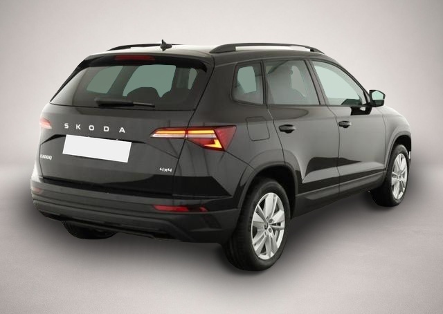 Bild 1 Skoda Karoq Selection 4x4 Karoq 2.0 TDI DSG 4x4 Selection, .